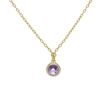 Imágen de COLLAR PLATA BAÑO ORO CORTO 7 mm. CÍRCULO CRISTAL (VIOLET)