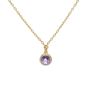 Imágen de COLLAR PLATA BAÑO ORO CORTO 7 mm. CÍRCULO CRISTAL (VIOLET)
