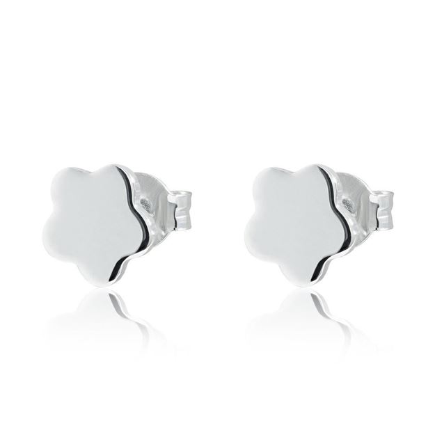 Imágen de PENDIENTES PLATA FLOR
