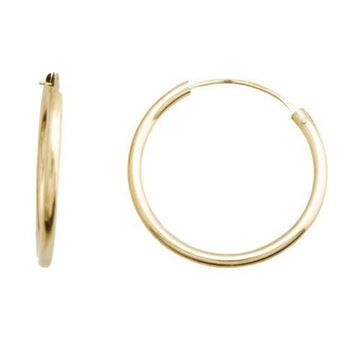 Imágen de CRIOLLAS ORO TUBULARES CIRCULARESS 1,5 * 20